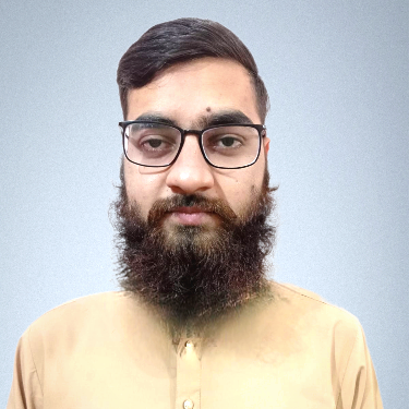@syedhamzaimran31